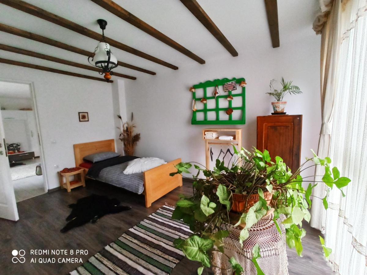 Отель Casa Lucia Damuc Экстерьер фото
