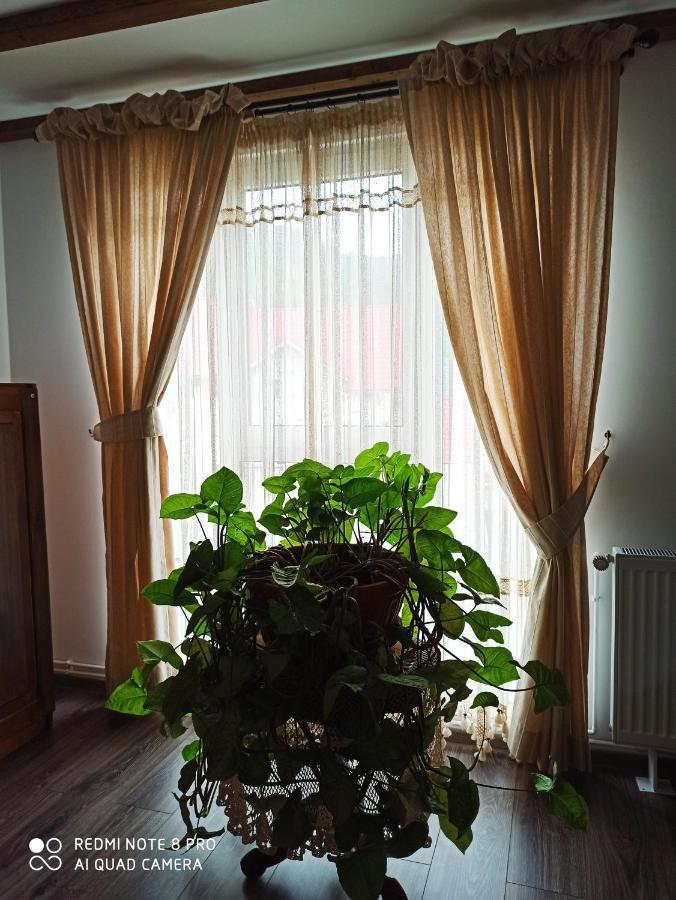 Отель Casa Lucia Damuc Экстерьер фото