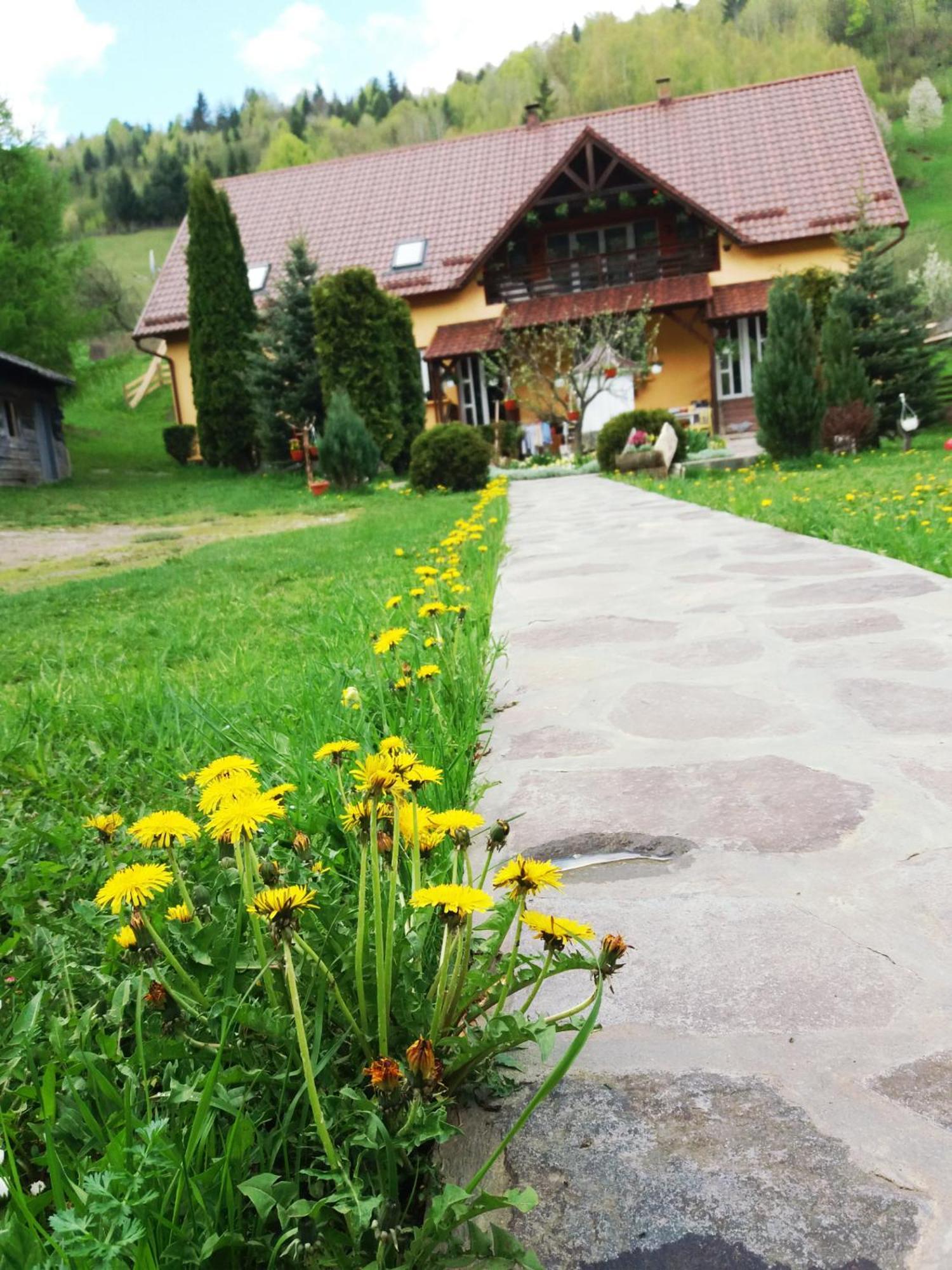 Отель Casa Lucia Damuc Экстерьер фото